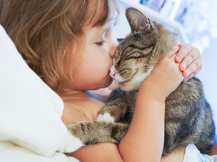 Anak Ingin Pelihara Kucing? 7 Masalah Kesehatan Ini Bunda Perlu Tahu
