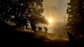 kebakaran california Firefighters battle the Crews Fire along Canada Road near Gilroy, Calif., Sunday, July 5, 2020. (AP Photo/Noah Berger)