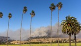 kebakaran california The Crews Fire burns near Gilroy, Calif., Sunday, July 5, 2020. (AP Photo/Noah Berger)