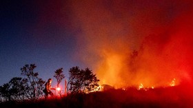 FOTO: Kebakaran Hutan Seluas 1.500 Hektare di California