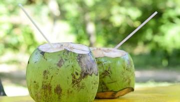 MANFAAT AIR KELAPA UNTUK IBU MENYUSUI