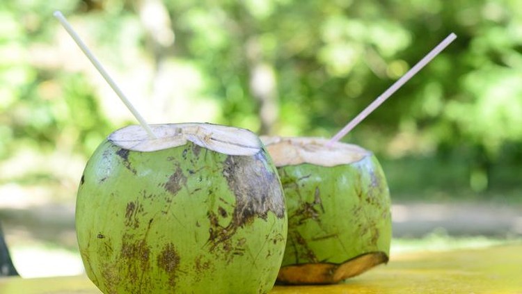 Tropical green coconuts opened for the drinking water with straws.