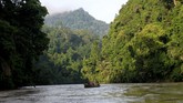 Mengembalikan Ida Petugas membawa Harimau Sumatra liar yang diberi nama IDA dengan menggunakan perahu untuk proses pelepasliaran di kawasan Taman Nasional Gunung Leuser (TNGL) yang berdampingan dengan Kawasan Ekosistem Leuser, Provinsi Aceh.