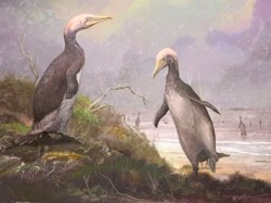 Penguin Purbakala Lebih Tinggi dari Manusia!