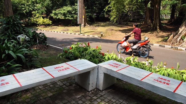 Wali Kota Bogor Bima Arya menyampaikan langsung ihwal Kebun Raya Bogor yang kini kembali boleh dikunjungi masyarakat umum.