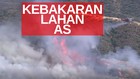 VIDEO: 400 Hektare Lahan Hangus Dilalap Api