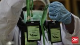 Kalung Antivirus Corona Pengemasan hasil pengolahan minyak Eucalyptus menjadi sediaan serbuk berteknologi nano dari laboratorium nanoteknologi Balai Penelitian dan Pengembangan Kementrian Pertanian , Bogor , menjadi prototipe kalung aromaterapi bernama antivirus korona Eucalyptus , Selasa, 7 Juli 2020.