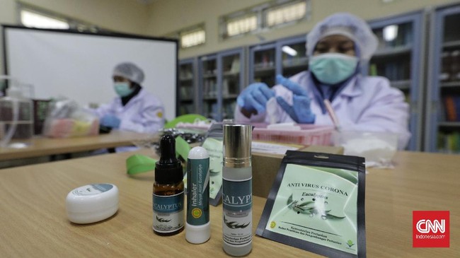 Kementan mengungkap bahwa penelitian eucalyptus atau kayu putih sebagai obat pencegahan Covid-19 masih belum tuntas.