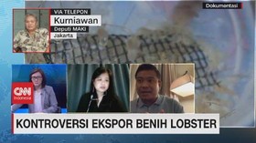 VIDEO: Kontroversi Ekspor Benih Lobster