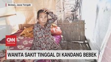 VIDEO: Wanita Sakit Tinggal di Kandang Bebek