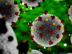 Studi Teliti Keampuhan Herd Immunity Terkait Corona, Ini Hasilnya