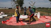 PANEN PADI DI BEKASI Petani menimbang padi di persawahan Tarumajaya, Kabupaten Bekasi, Jawa Barat, Selasa, 7 Juli 2020. Petani diharuskan memanfaatkan semua alat pertanian untuk meningkatkan produktifitas di musim tanam II. CNNIndonesia/Safir Makki
