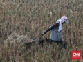 Food Estate Kalteng Dimulai Oktober 2020