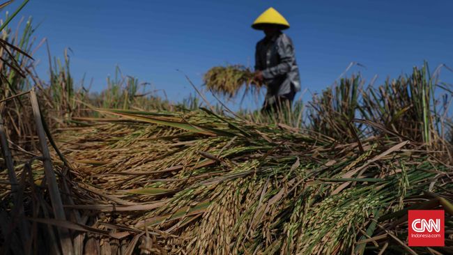 Contoh essay pertanian modern 04 picture