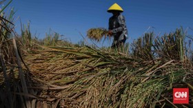 Tuntut Hak Tanah, Serikat Petani Tolak Solusi Menteri Jokowi