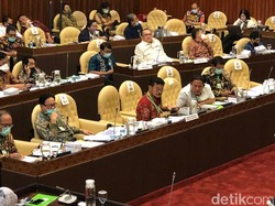 Rapat dengan Mentan, Anggota Komisi IV Sentil Kalung Anti-Corona