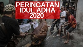 VIDEO: Menag Izinkan Solat Iduladha dan Sembelih Hewan