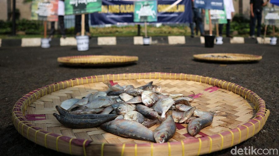Aktivis Koalisi Rakyat untuk Keadilan Perikanan (KIARA) melakukan aksi dengan membawa ikan di depan Gedung DPR, Jakarta, Rabu (8/7/2020). Dalam aksinya mereka menolak Rancangan Undang-Undang Omnibus Law Cipta Kerja. Mereka berpendapat RUU ini disusun dan dibahas bukun untuk melindungi masyarakat dan sumber daya alam Indonesia melainkan sebaliknya untuk memanjakan kepentingan oligarki yang telah lama menguasai kebijakan di negara ini.