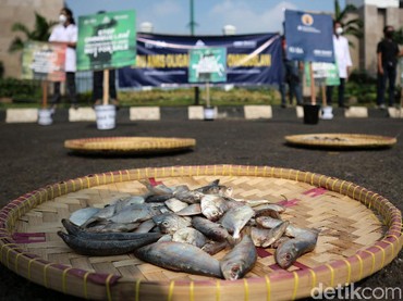 Viral, Gegara Ikan Asin Seorang Istri Dibanting dan Dijambak Suami