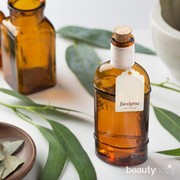 Viral Bisa Menangkal Virus Corona, Apa Sebenarnya Manfaat Eucalyptus?