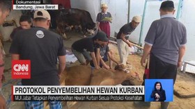 VIDEO: Protokol Penyembelihan Hewan Kurban