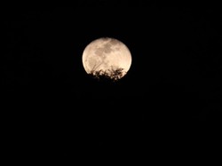 Di 2021, Rusia Siap Jajah Permukaan Bulan