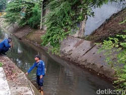 Damkar Akan Lanjutkan Pencarian Ular yang Tewaskan ABG di Serpong Malam Hari