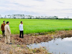 3 Fakta Terungkapnya Peran Prabowo di Lumbung Pangan
