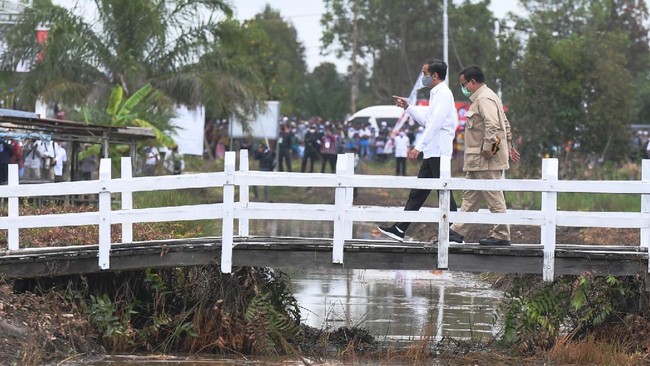 Presiden Joko Widodo (kiri) didampingi Menteri Pertahanan Prabowo Subianto meninjau lahan yang akan dijadikan Food Estate atau lumbung pangan baru di Kapuas, Kalimantan Tengah, Kamis (9/7/2020). ANTARA FOTO/Hafidz Mubarak A/nz