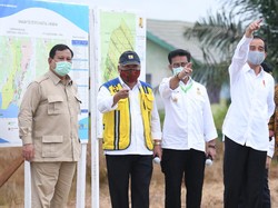 4 Kementerian Keroyokan Bikin Lumbung Pangan, Begini Bagi Tugasnya