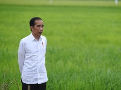 Pabrik Hengkang dari China Bangun di RI, Jokowi Happy