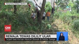 VIDEO: Remaja di Tangsel Tewas Dililit Ular Sanca
