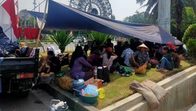 Ditumbal Konflik Lahan, Tijah 'Salim Kancil' hingga SAD Jambi