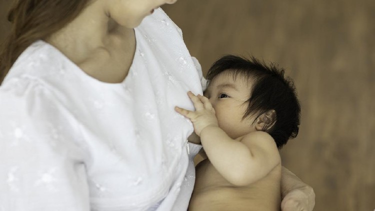 Ibu menyusui Ibu menyusui