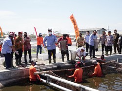 Menteri Eddy Tegaskan Sidat Banyuwangi Berkualitas Terbaik