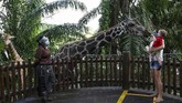 Nyalang Edisi 11 Juli 2020 A child carried by the mother feeds the giraffe in an enclosure at the Singapore Zoo in Singapore on July 6, 2020, on its first day of reopening to the public after the attraction was temporarily closed due to concerns about the COVID-19 novel coronavirus. (Photo by Roslan RAHMAN / AFP)