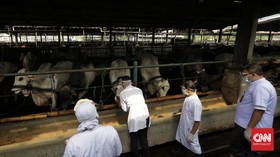 Gejala dan Cara Mencegah Penyakit Mulut dan Kuku pada Hewan