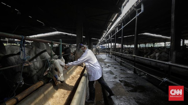 Wali Kota Surabaya Tri Rismaharini mengeluarkan edaran berisi aturan salat, pemotongan hingga pembagian daging kurban.