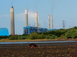 Pemerintah Minta Bantuan Milenial Kembangkan Energi Terbarukan