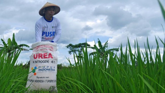 Simak! Ini Bukti Pusri Konsisten Terapkan Praktik Keberlanjutan