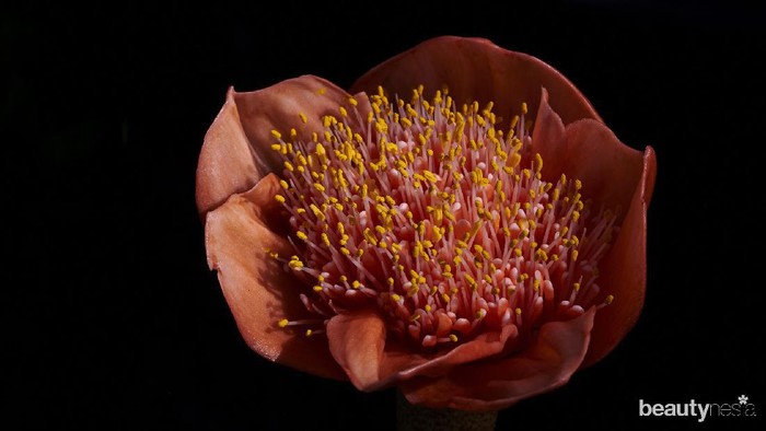 Hindari Iritasi, Begini Cara Cukur Bulu Kemaluan dengan Benar