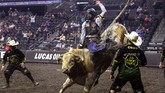 Smashot Edisi 12 Juli 2020 Lane Lasley rides a bull in the Monster Energy Team Challenge in Sioux Falls, S.D., Friday.July 10, 2020, as Professional Bull Riders welcomed just over 1,000 fans into the arena that usually holds 9,000. (AP Photo/Stephen Groves)
