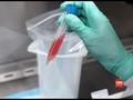 VIDEO: Mutasi Virus Corona, Menyebar Lebih Cepat