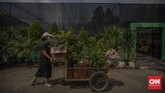 Mengisi Waktu Berburu Tanaman Hias Suasana di Taman Anggrek Ragunan, Jakarta, Kamis, 9 Juli 2020. Taman Anggrek Ragunan menawarkan beragam jenis tanaman hias dengan harga mulai dari puluhan ribu hingga jutaan rupiah. CNN Indonesia/Bisma Septalisma