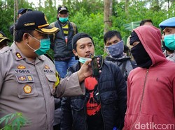 Penjelasan PTPN VIII Soal Kebun Ganja di Lahannya