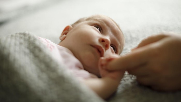 Bayi Baru Lahir