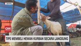 VIDEO: Tips Membeli Hewan Kurban Secara Langsung