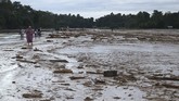 DAMPAK BANJIR BANDANG LUWU UTARA Sejumlah warga melintasi lumpur akibat banjir bandang yang menutupi landasan pacu di Bandara Andi Jemma Masamba, Luwu Utara, Selasa (14/7/2020). Banjir bandang yang terjadi pada Senin (13/7/2020) tersebut mengakibatkan sejumlah fasilitas bandara terendam banjir dan berdampak pada lumpuhnya operasional penerbangan. ANTARA FOTO/HO/dok Kemenhub/wpa/hp.