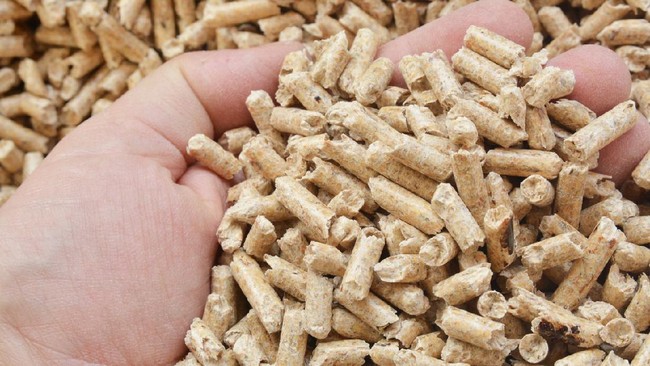 Close up on wood pellets in a hand