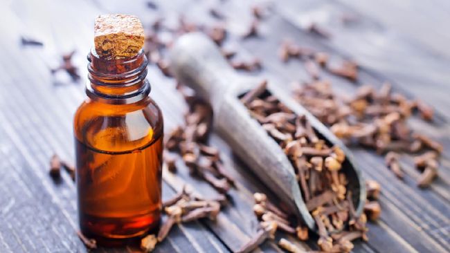 Mencium aroma essential oil dapat meredakan stres dan memunculkan rasa rileks. Berikut tips tepat dalam menggunakan minyak esensial atau essential oil.